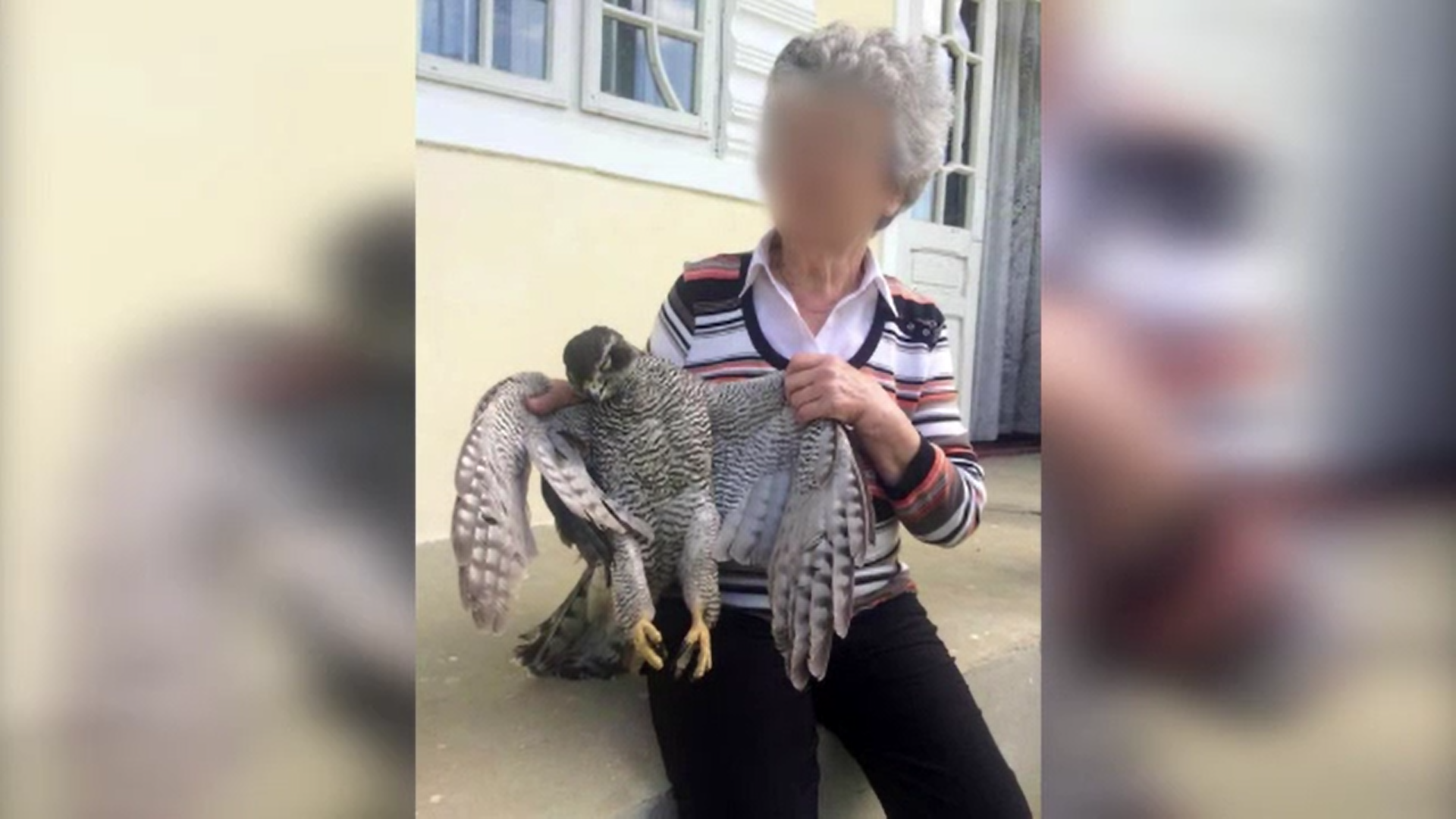 O femeie din Iași riscă să ajungă după gratii după ce a ucis un uliu și s-a lăudat pe rețelele sociale