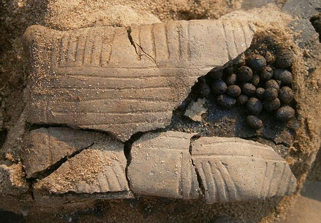 Arheologii polonezi au descoperit o jucarie intr-un mormant vechi de 2.500 de ani