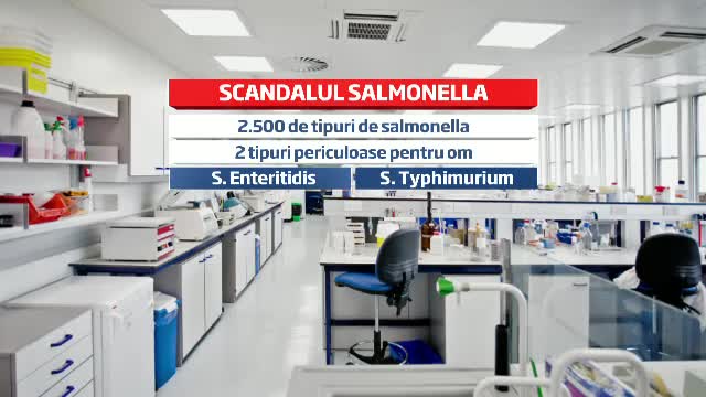 Scandalul puilor cu salmonella de la Avicola Calarasi. 65 de tone de carne, retrase din magazine