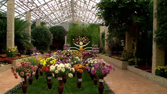 Cea mai mare expoziție de flori de toamnă din România, la Grădina Botanică din Iași