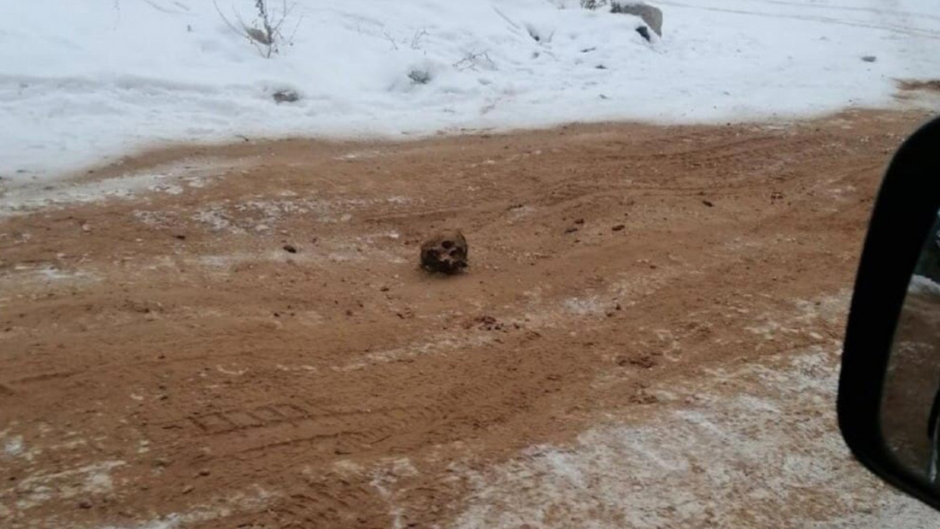 Cranii și oase umane pe un drum din Rusia. Ministerul de Interne a demarat o anchetă