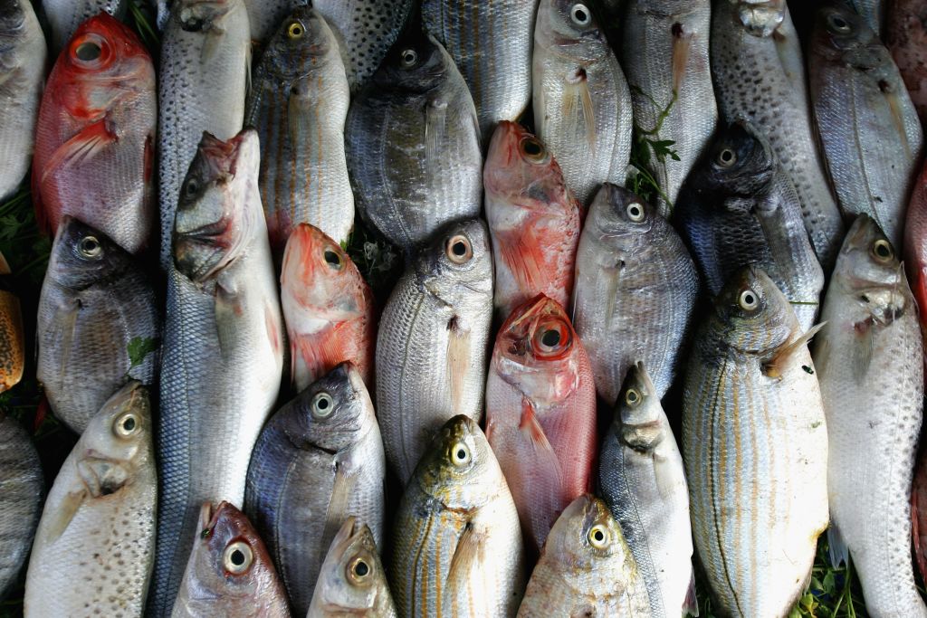 Cercetătorii gălățeni vor să distrugă virusul Covid-19 cu ajutorul solzilor de pește
