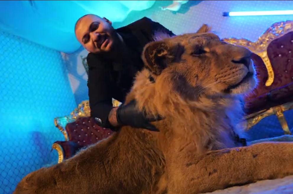 Dani Mocanu, fotografiat lângă alt animal sălbatic, după scandalul cu leul din videoclip. Explicația neobișnuită