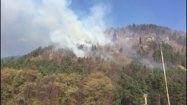 Incendiu în pădurea de la Oituz. În zonă există muniție neexplodată din timpul războaielor mondiale
