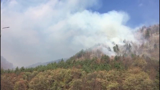 O pădure de lângă Oituz arde de 48 de ore. În zonă există muniție de război neexplodată