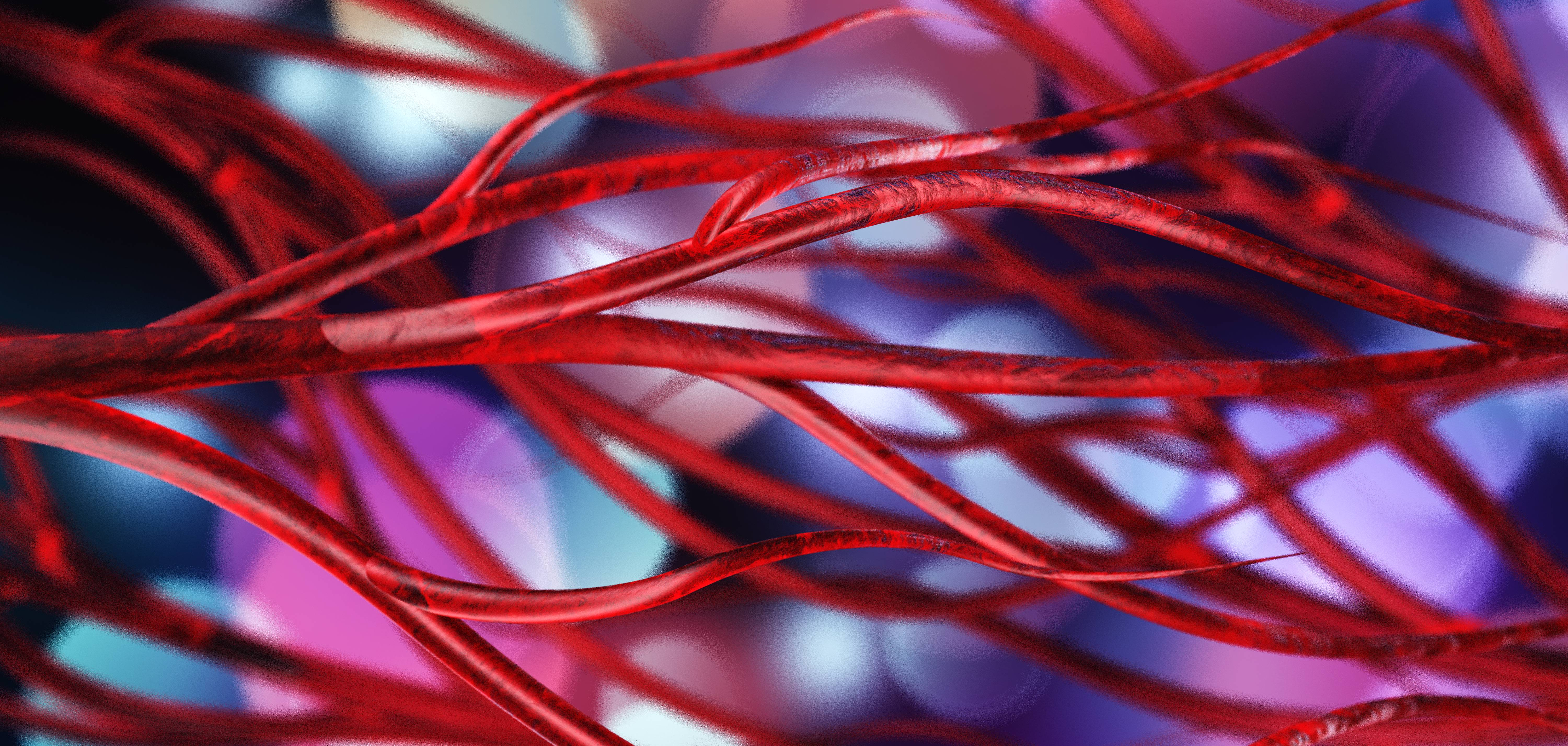 Ce au în comun arterele și venele și cum ajută mersul pe jos la circulația sângelui