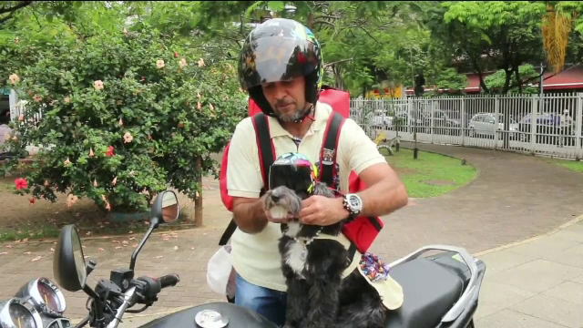 Unele livrări la domiciliu sunt făcute de un câine pe motocicletă, în Rio de Janeiro