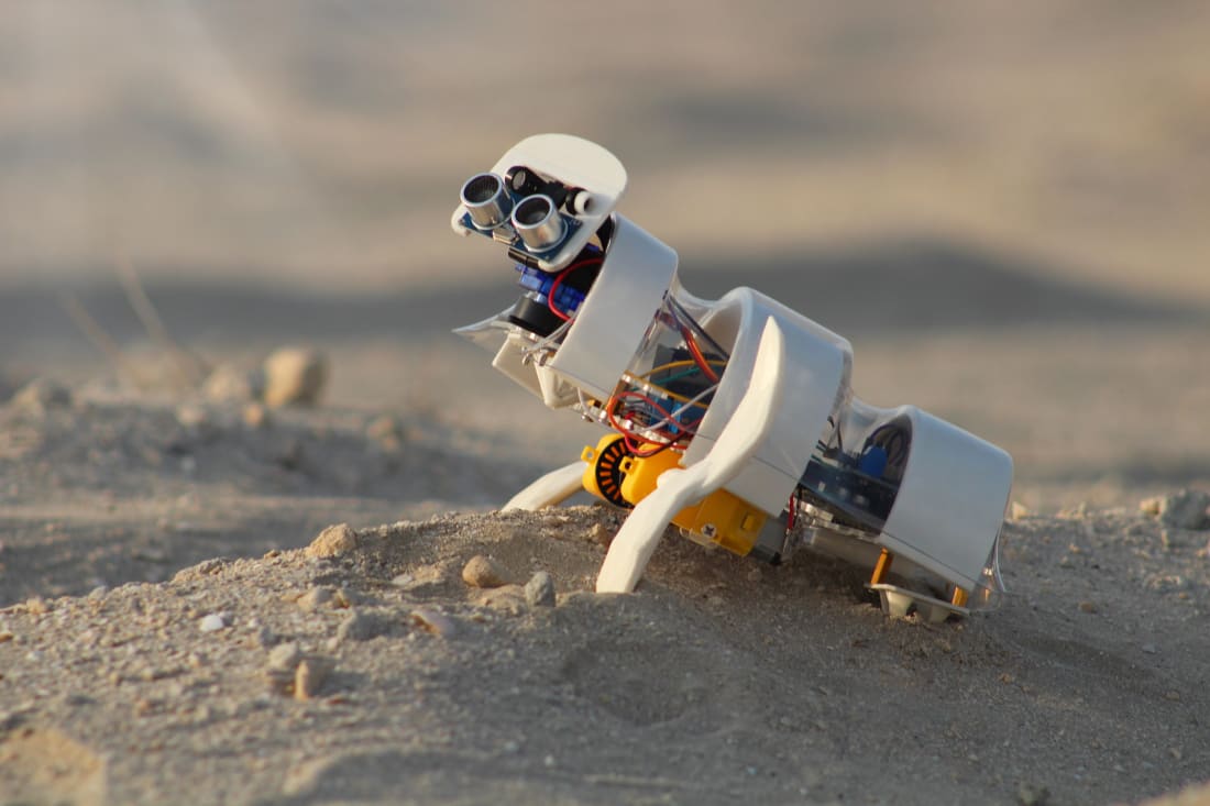 Cum arată robotul care plantează singur semințe în deșert, proiect prezentat la Global Grad Show din Dubai