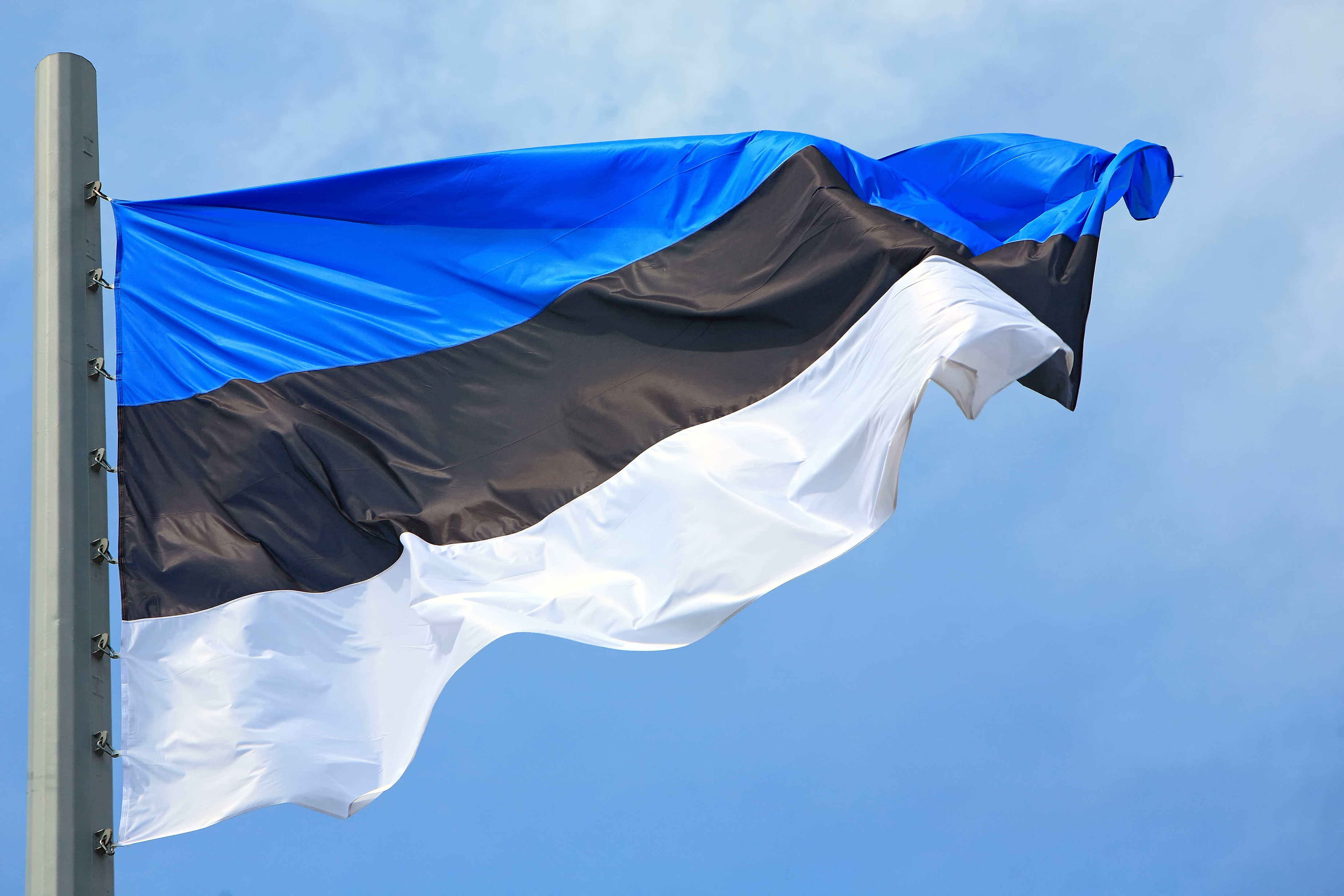 Din cauza situației din Belarus, Estonia și-a convocat rezerviștii pentru o acțiune la granița cu Rusia