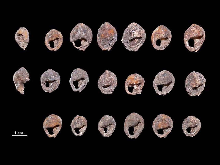 Cea mai veche bijuterie din lume, descoperită în Maroc, datează de acum 150.000 de ani
