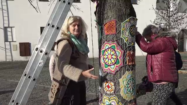 Un copac din curtea Cetății Oradea a fost îmbrăcat în decorațiuni croșetate. Turișii au rămas impresionați