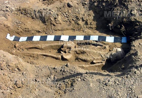 Socant! 16 schelete umane, descoperite intr-o groapa comuna de langa Iasi