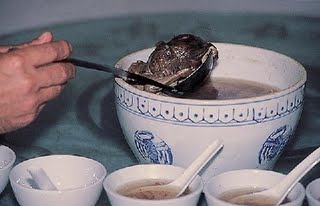 FOTOGRAFII SOCANTE! Supa de fetus uman, delicatesa pentru bogatanii chinezi - Imaginea 6