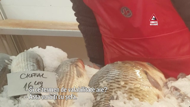 Imagini filmate cu CAMERA ASCUNSA intr-o piata de peşte din Capitala: 