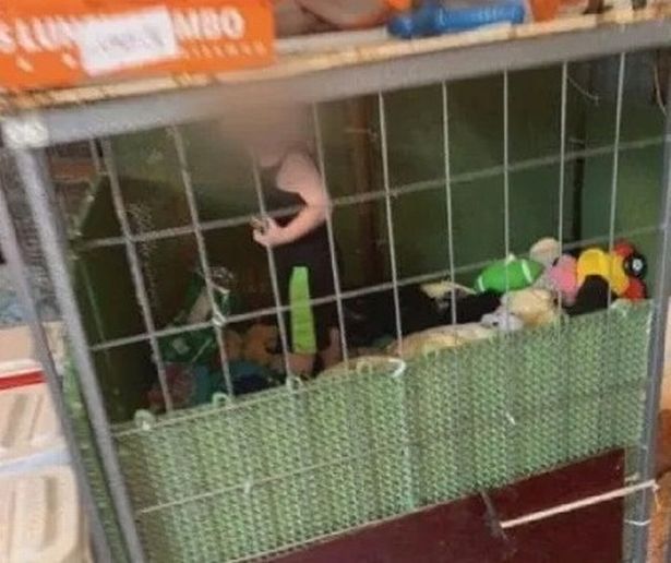 Copilul închis într-o cușcă alături de șerpi uriași și șobolani era într-un mediu „sigur”, susțin părinții în fața instanței