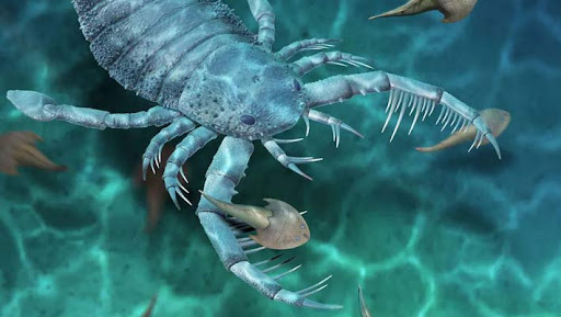 Un înspăimântător scorpion de mare, lung de un metru, a fost descoperit în China. Cum își captura prada