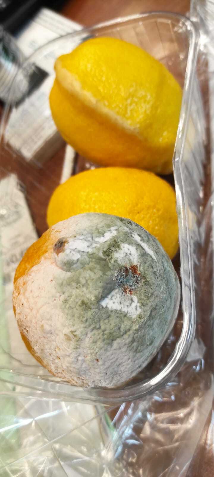 Over 300 Mega Image stores fined by ANPC: Moldy food, expired products, dirt and cockroaches |  PHOTO GALLERY - Image 13