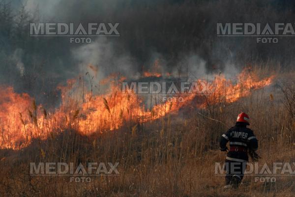 In doar 6 luni judetul Sibiu a inregistrat 217 incendii de vegetatie uscata si miriste