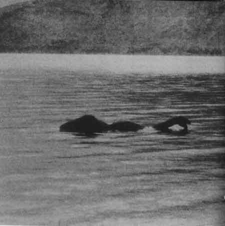 Noi dovezi despre MONSTRUL din Loch Ness! De data aceasta, OFICIALE