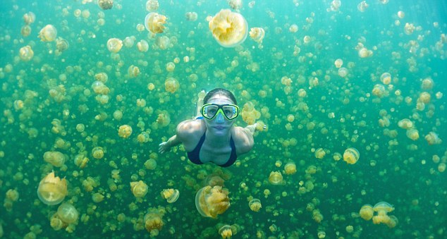 A inotat printre mii de meduze, imbracata doar in costum de baie. FOTO
