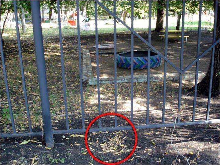 Doi baieti de cinci ani, din Rusia, au sapat un tunel sa fuga de la gradinita si sa cumpere un Jaguar