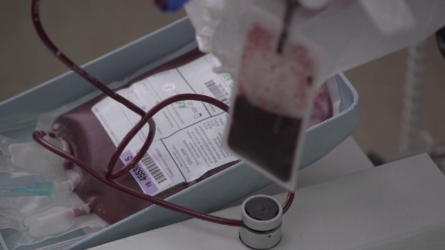 Numărul donatorilor de celule stem din România, extrem de mic. Gestul nostru poate salva vieţi