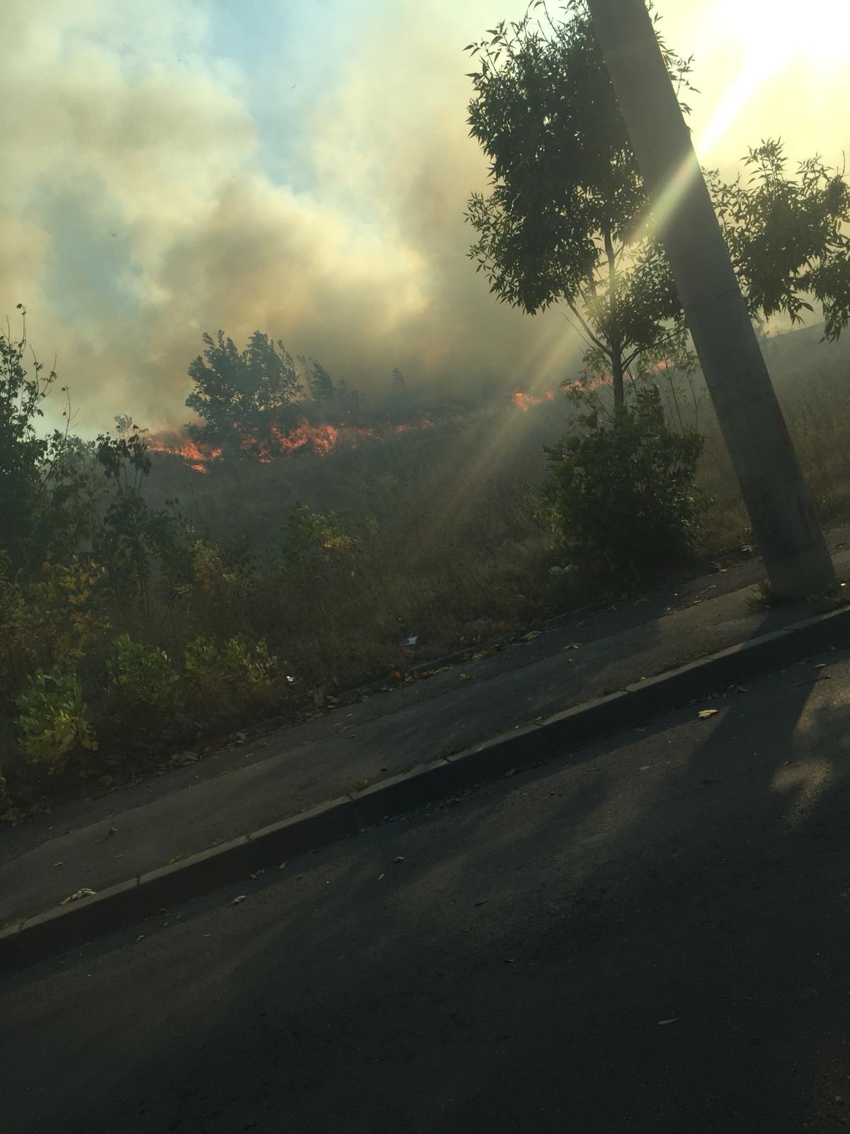 Incendiul de vegetație din București a fost stins. Traficul, reluat pe Splaiul Unirii