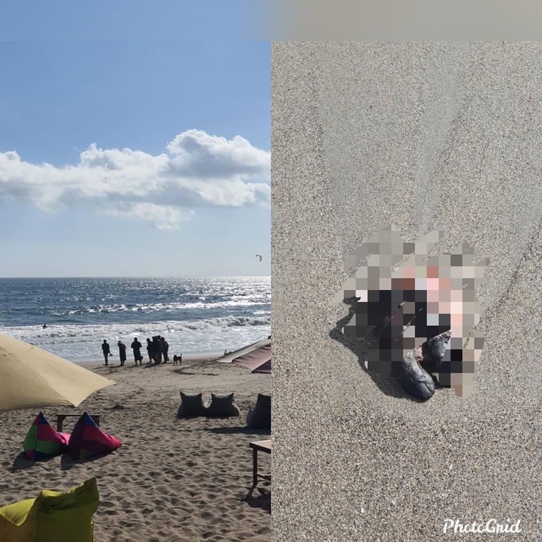 Descoperirea șocantă făcută de un turist, pe o plajă din Bali. Imaginea a devenit virală