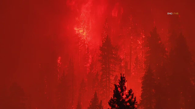 Dezastru în California în urma incendiilor de vegetație. Aproape toți locuitorii unui oraș au fost evacuați