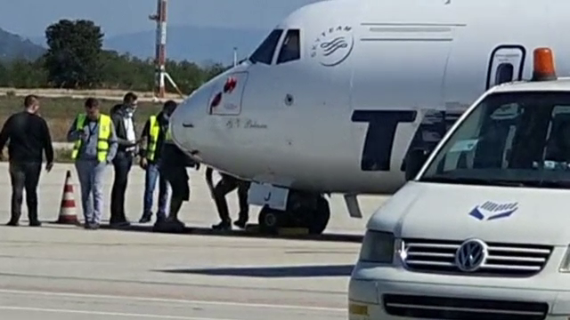Caz incredibil pe pista aeroportului din Oradea. Un iepure a fost lovit de un avion care se pregătea să decoleze