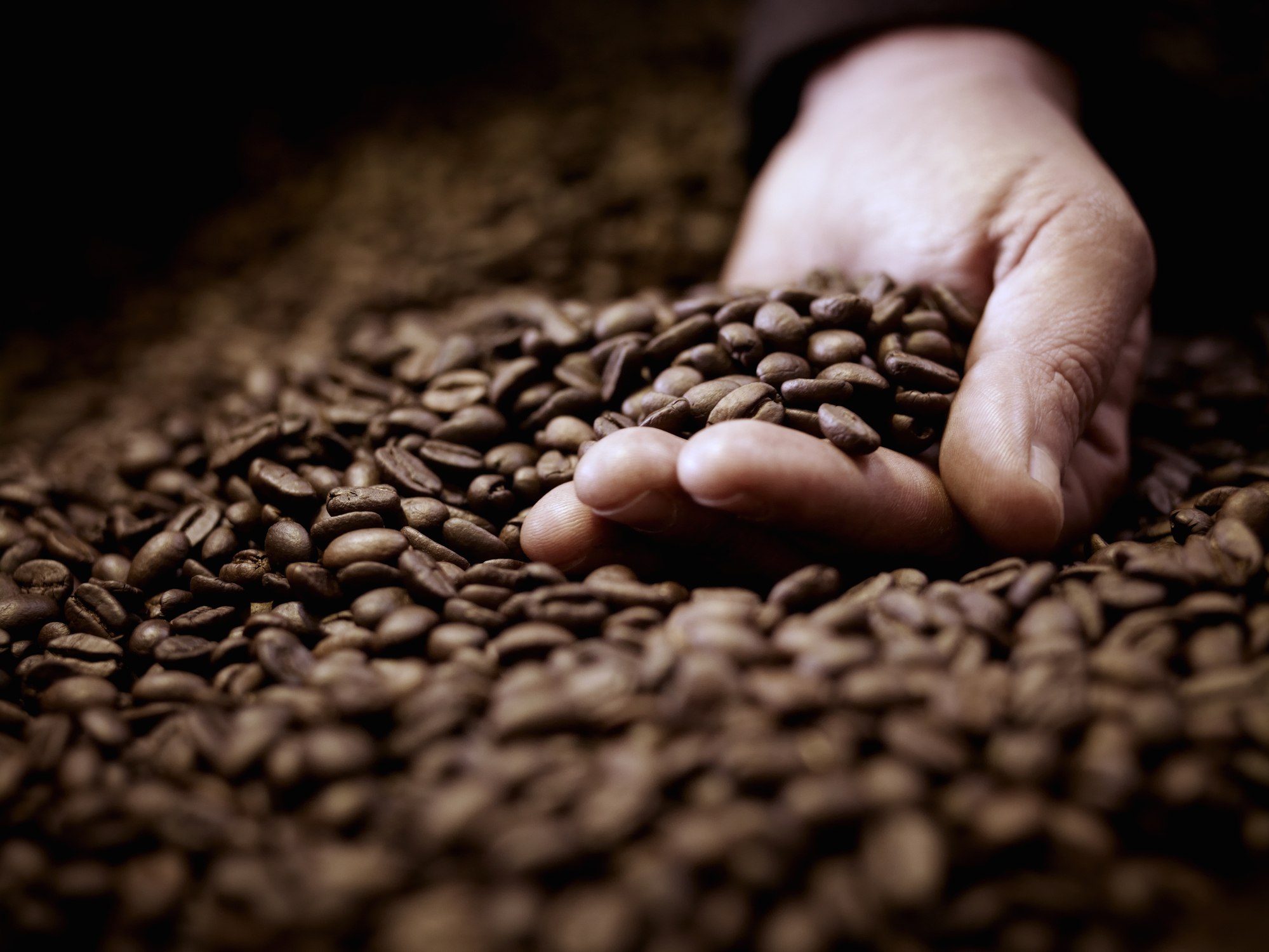 Din cauza încălzirii globale, unele sortimente de cafea sunt pe cale de dispariție. Experții trag un semnal de alarmă