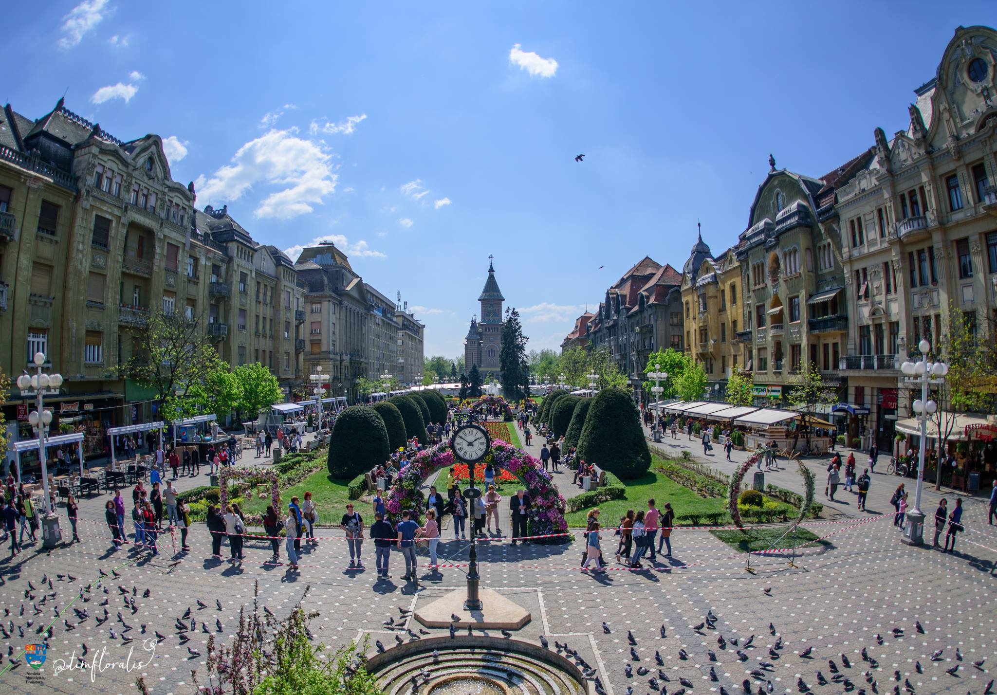 Timișoara începe să folosească certificatul verde. Rata de infectare Covid-19 a trecut de 3