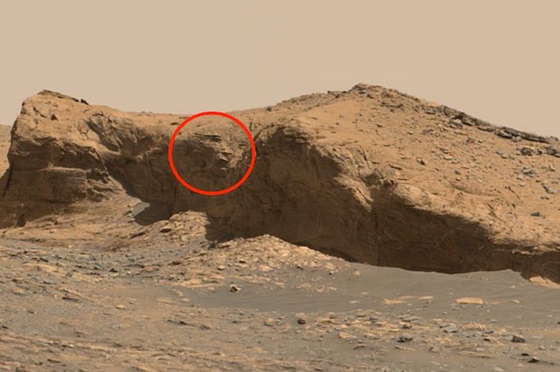Un bărbat susține că a găsit chipul sculptat al unui extraterestru, vechi de 10.000 de ani pe un munte de pe Marte